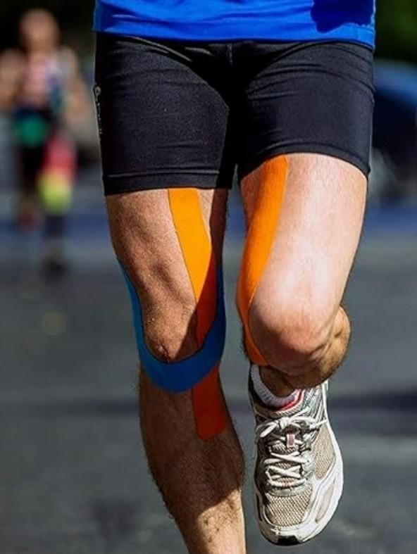 Fitness And Wellness